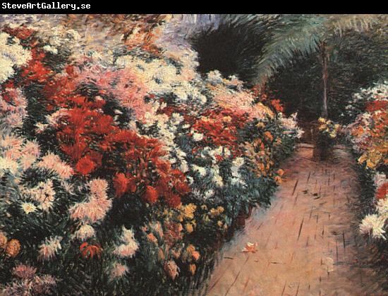 Dennis Miller Bunker Chrysanthemums 111